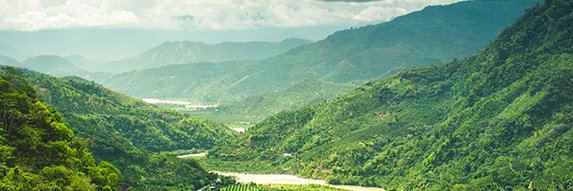 Children's Climate Prize banner