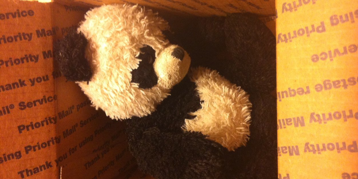 iMustPandaLean's profile banner image
