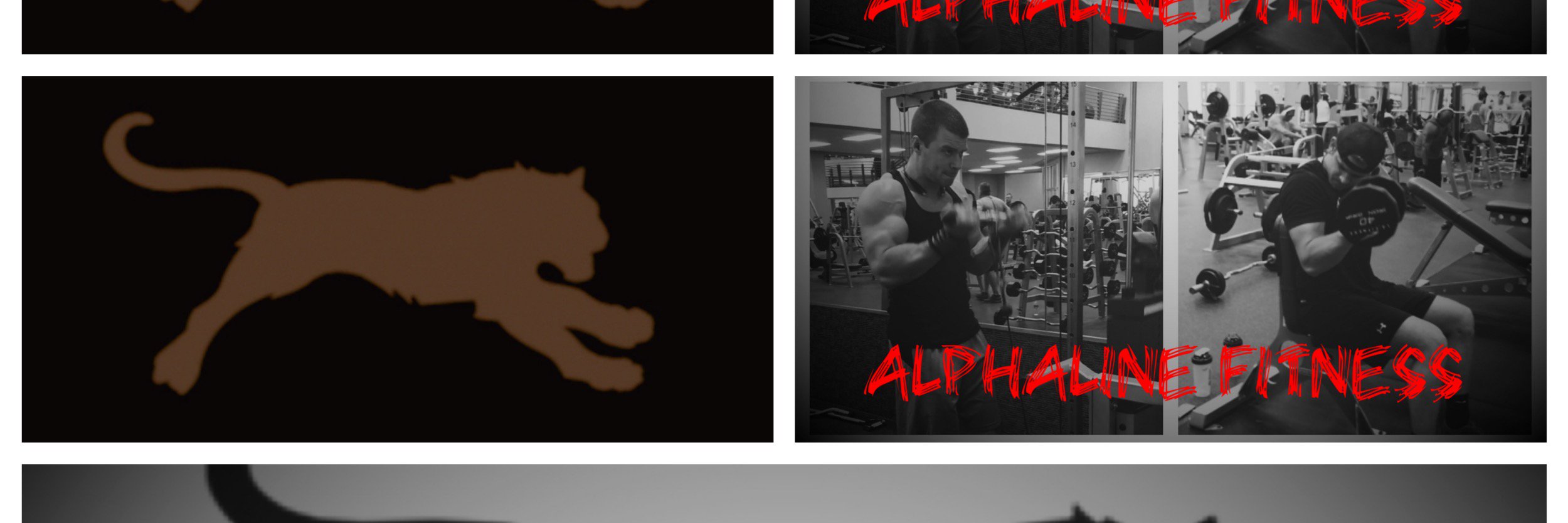 Alphaline_Fit's profile banner image