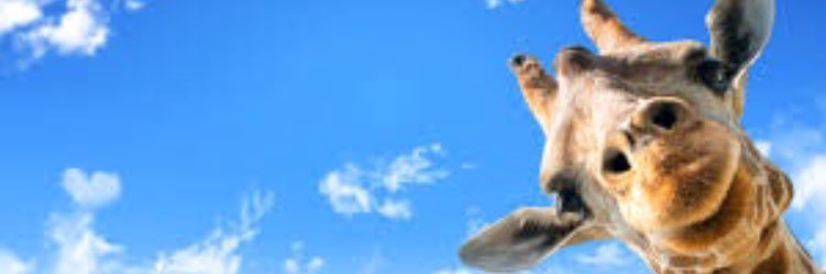 katy_NOTperry's profile banner image