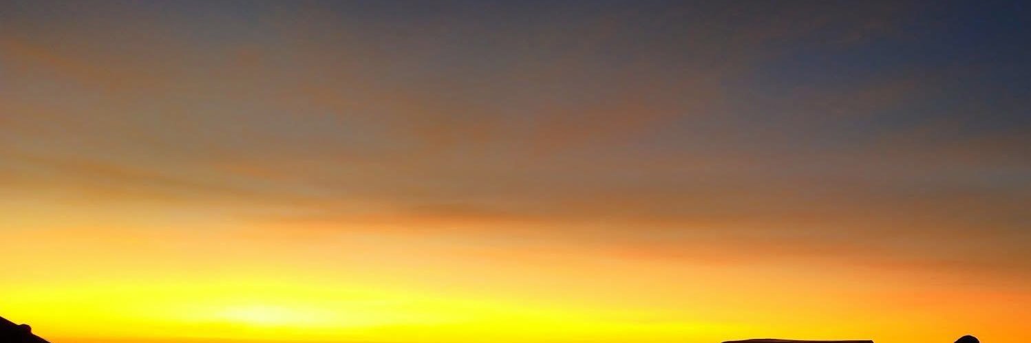 anni_koya's profile banner image