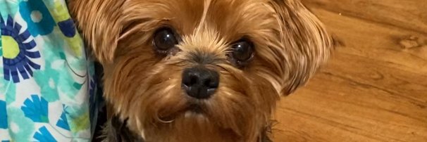 FernWho's profile banner image