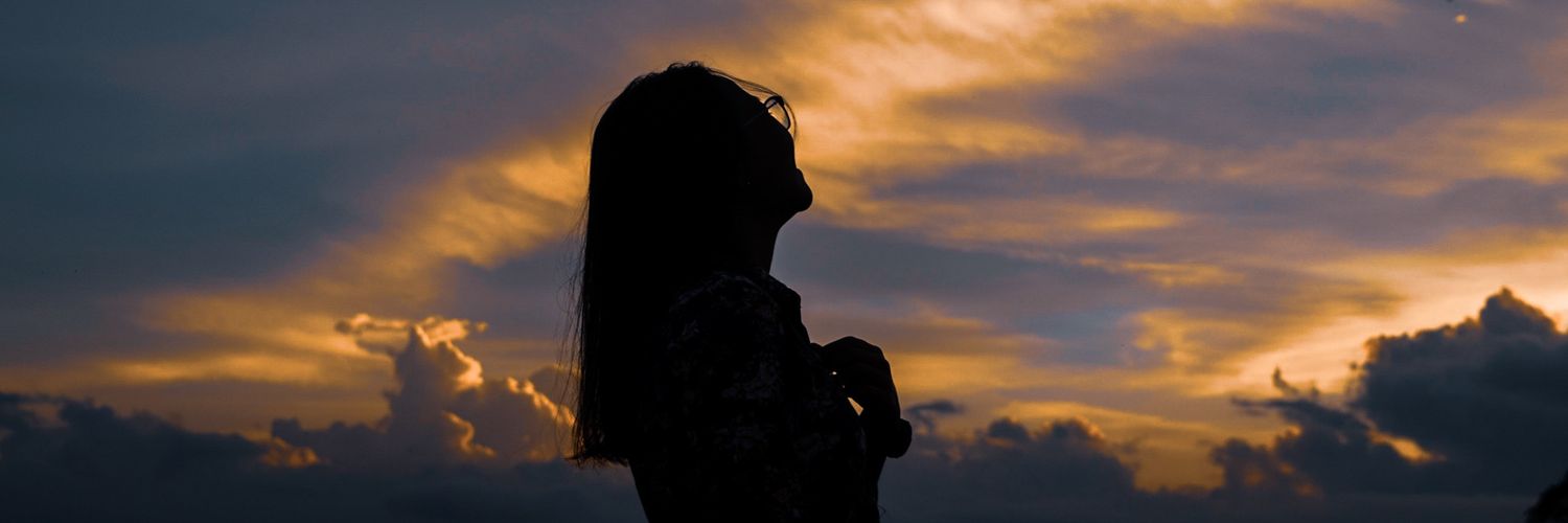 dwiering's profile banner image