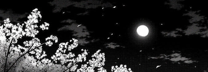 StuartWix's profile banner image