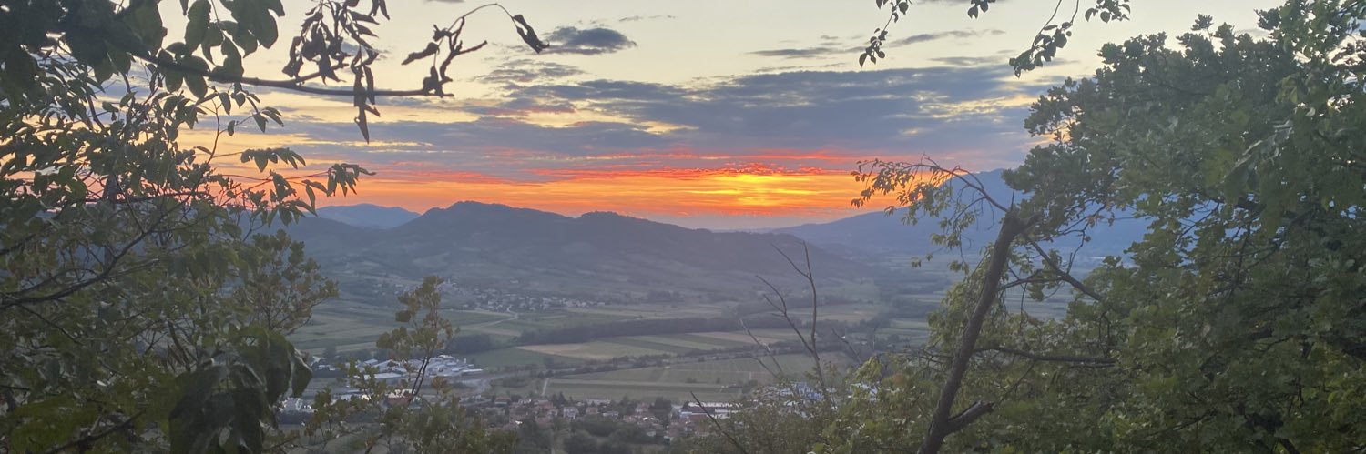Hermann Dzingel banner