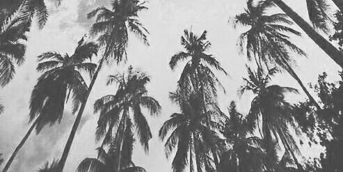 rizaljkt's profile banner image
