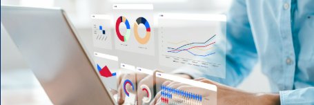 Transport for NSW Open Data banner