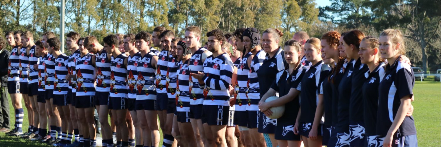 woodsidewildcat's profile banner image