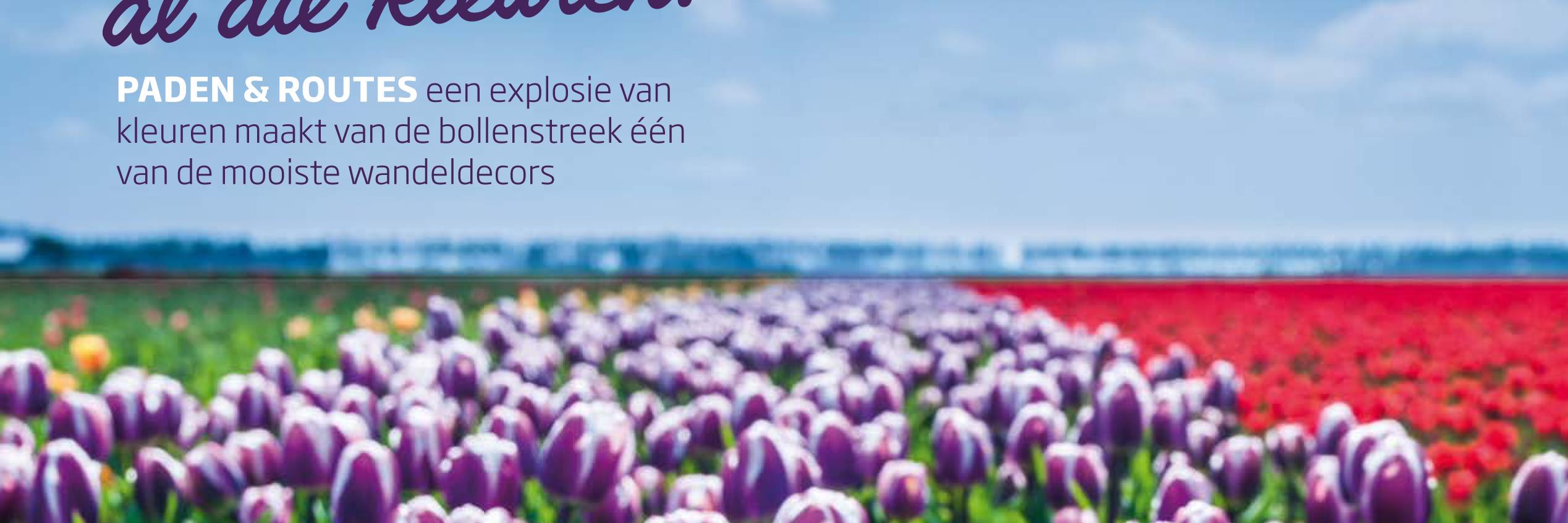 Magazine Wandel banner