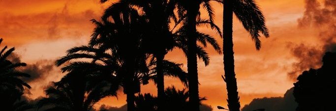 VeronicaBullon's profile banner image