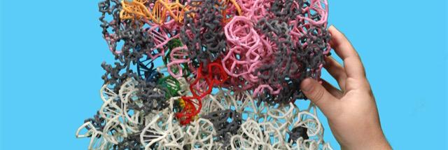 QuattroneLab banner