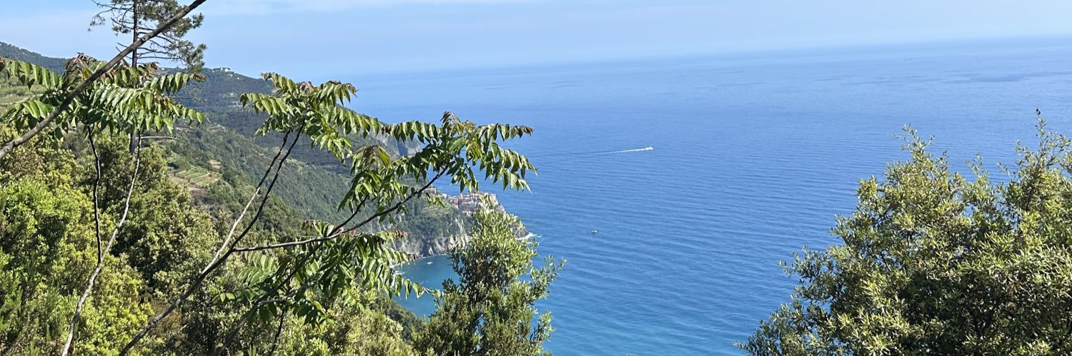 NannettiAlessia's profile banner image