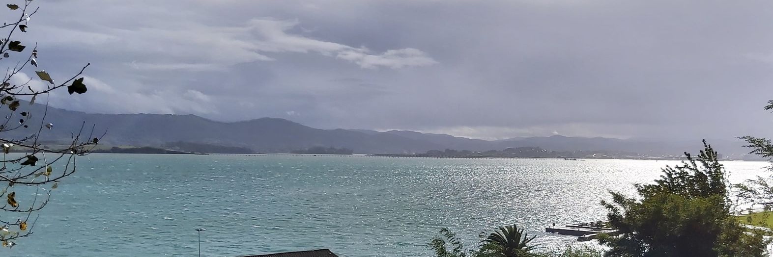 Conchi Solanas banner