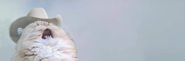 verdefilms257 Profile Banner