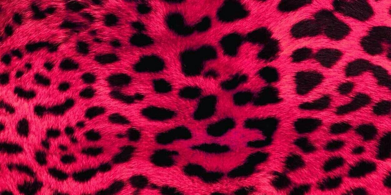 Fhita banner