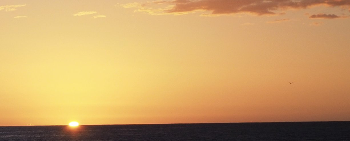 mhucka's profile banner image