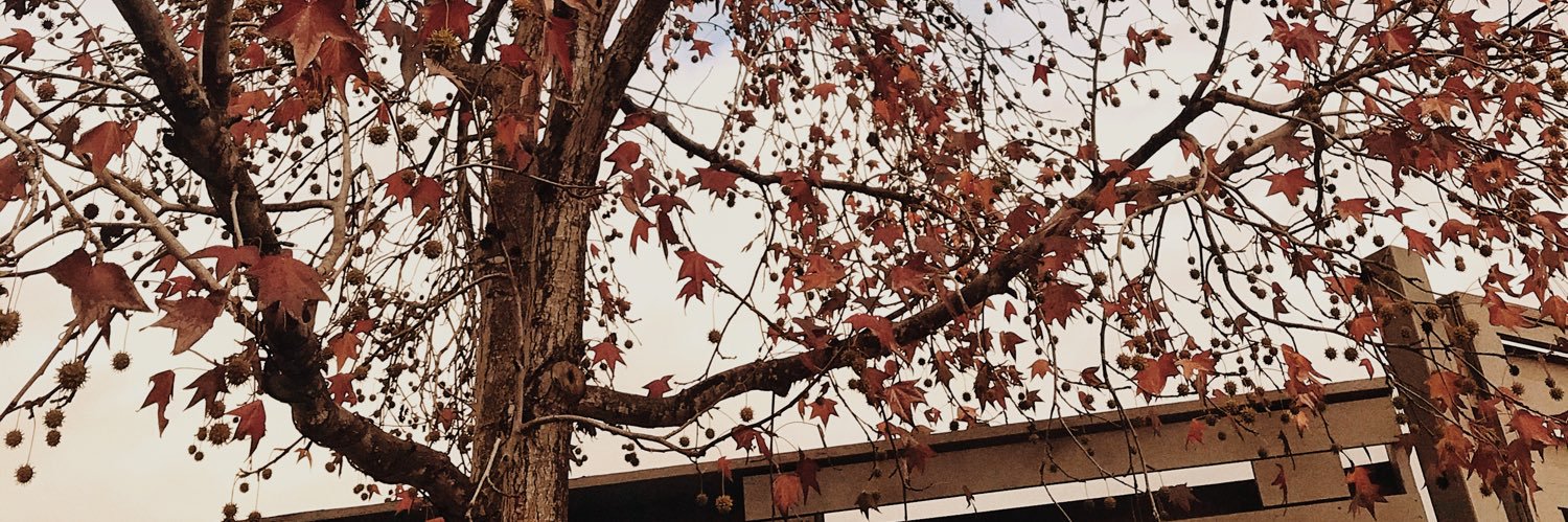 cielomharie_'s profile banner image