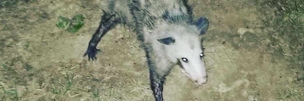 mr_0ps's profile banner image