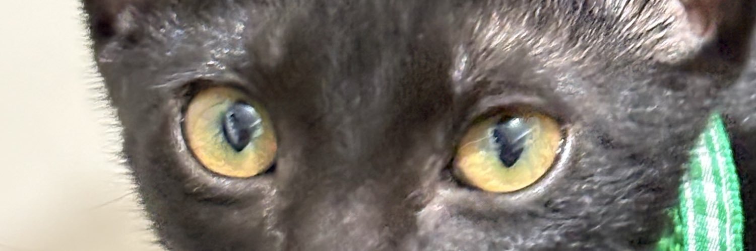 GeaTapon's profile banner image