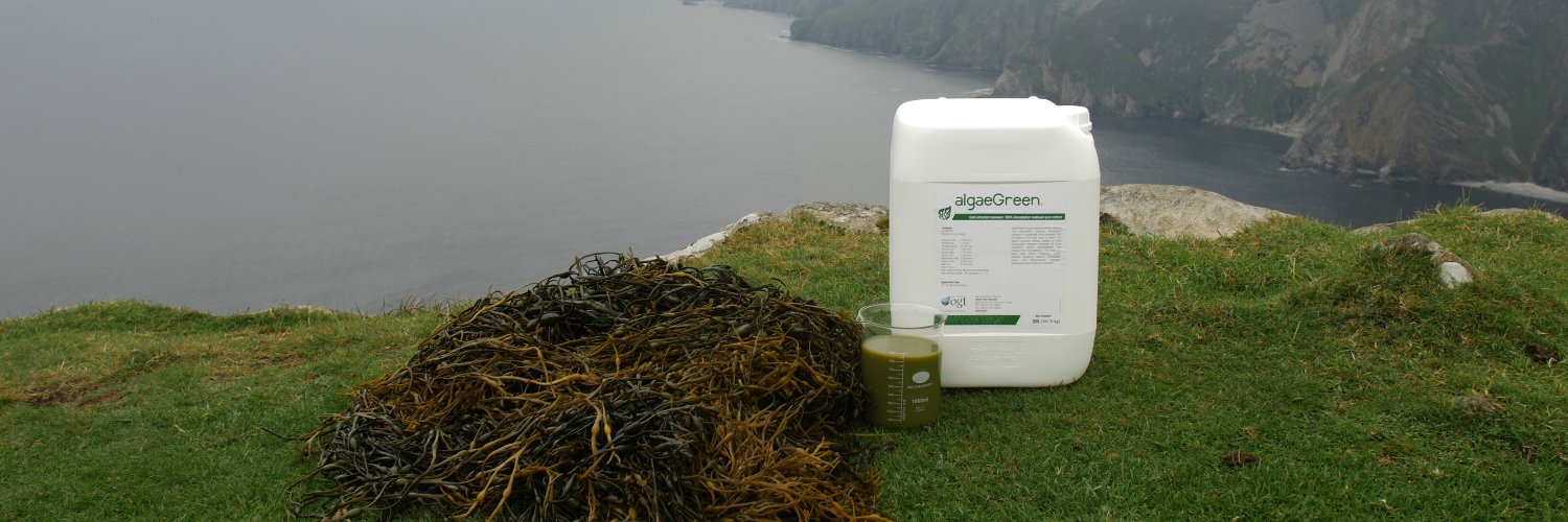 algaeGreen_OGT's profile banner image