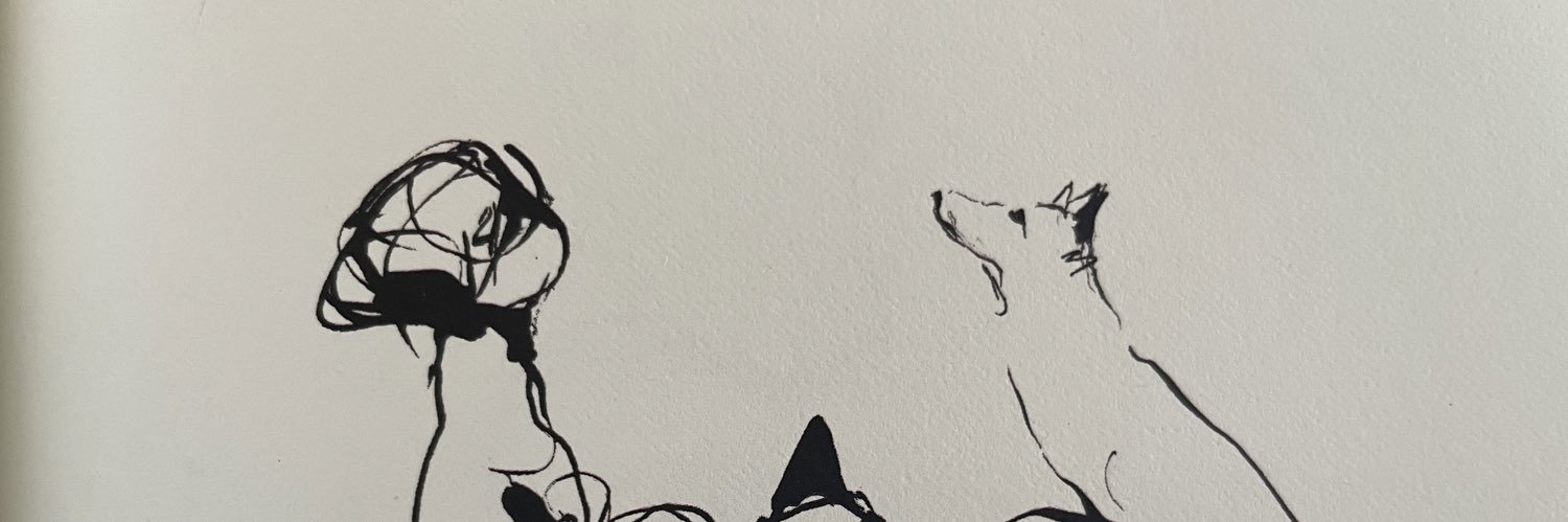 Adancuartz's profile banner image