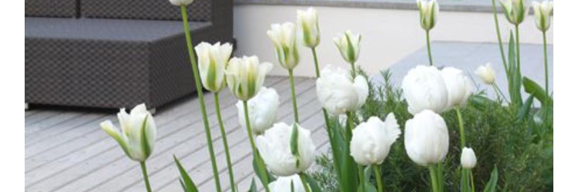 weadore's profile banner image