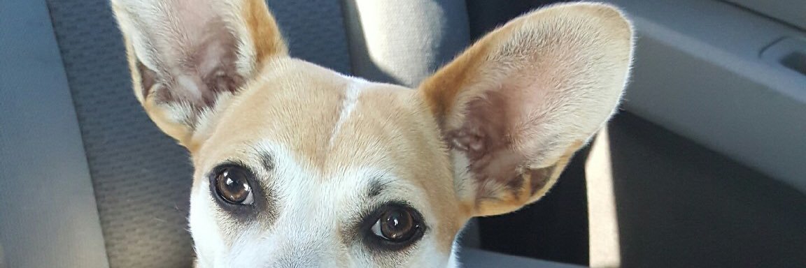 ShannonGabriel's profile banner image