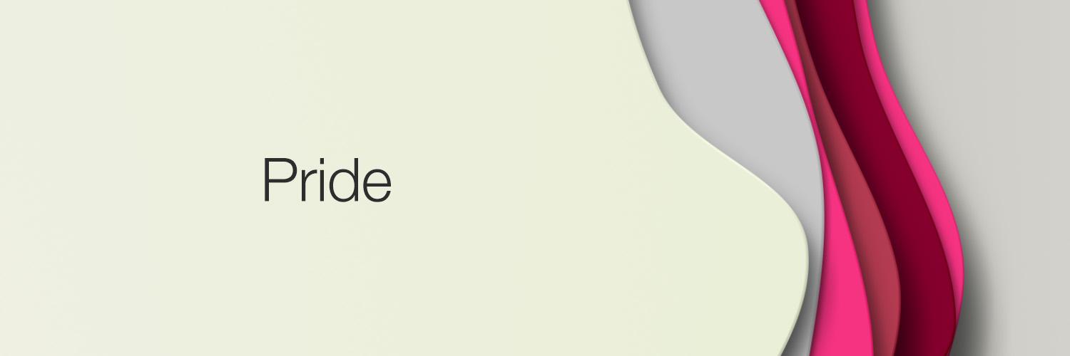 SBSPride's profile banner image