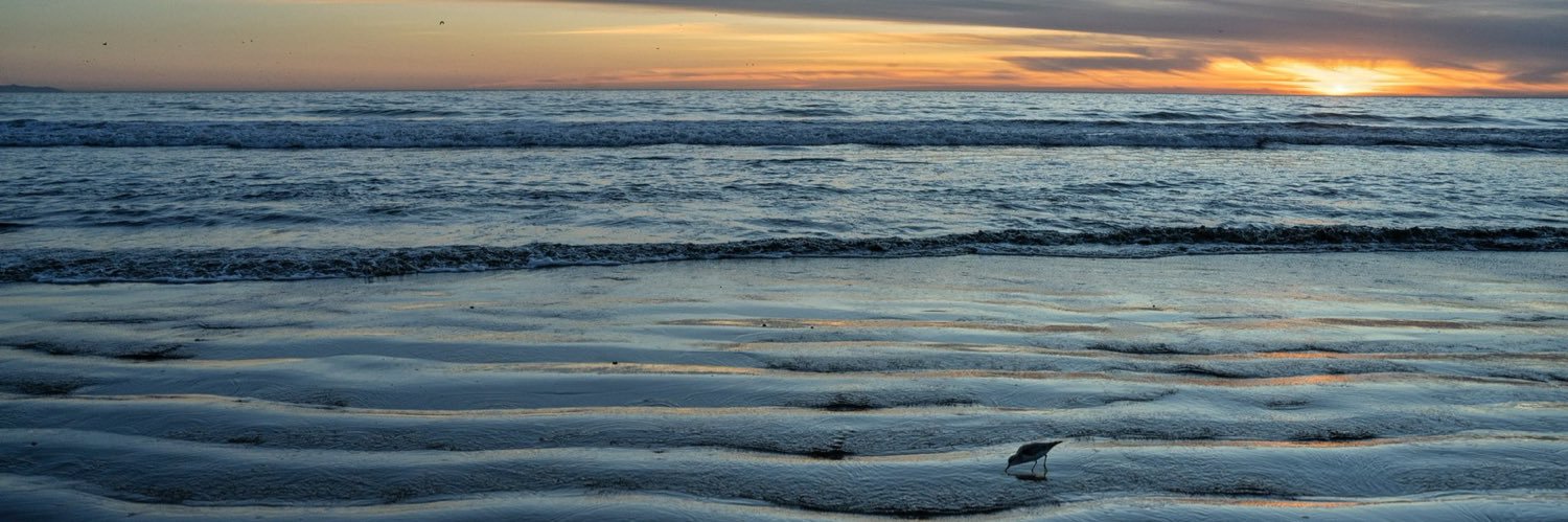 김성호 KIM Sung-Ho banner