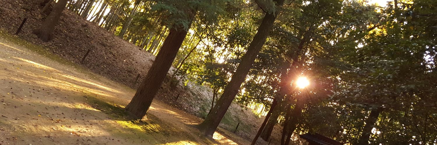 @nmst_29🔞✏️🏍 🫪バイク＝乗る遊園地 banner