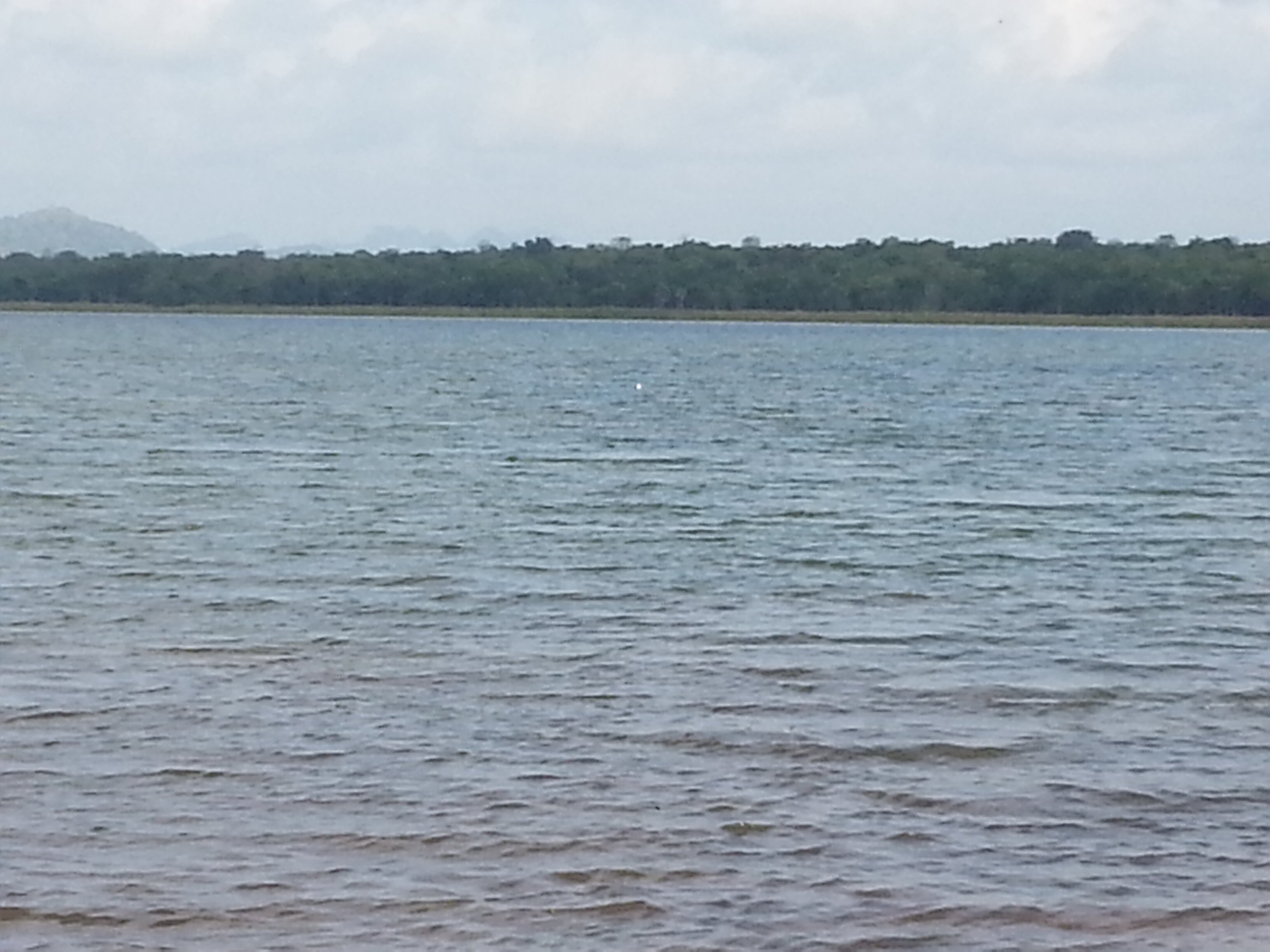 mydoseees's profile banner image