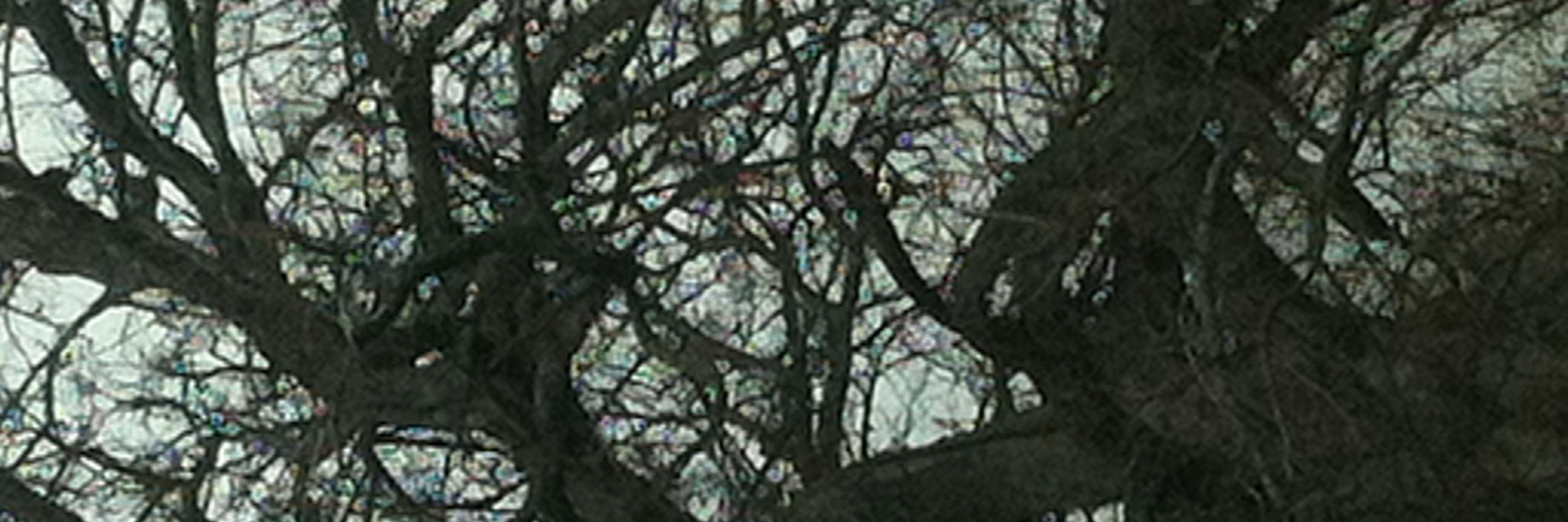 coolspot77's profile banner image