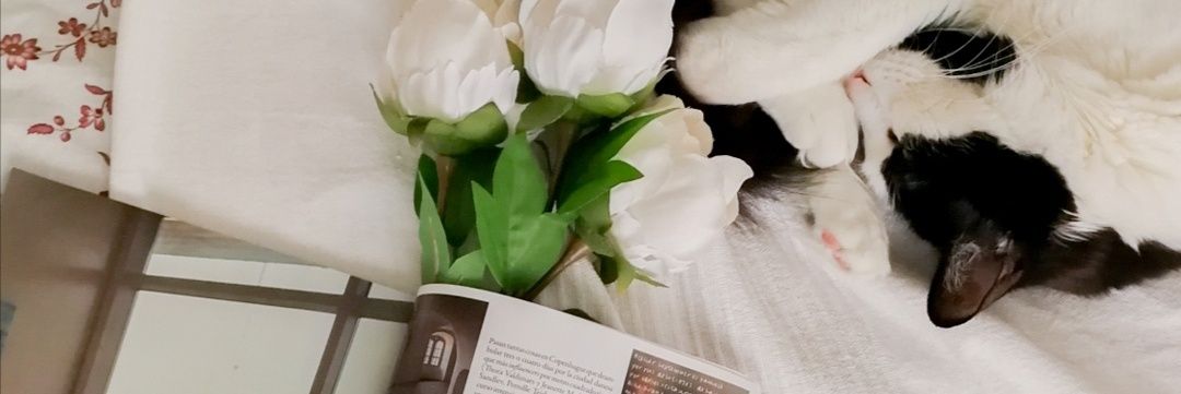 erithereader's profile banner image