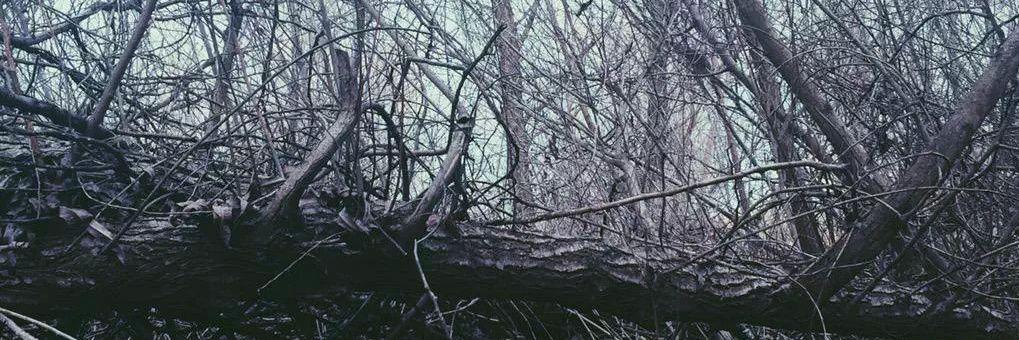 youronlydrug_'s profile banner image