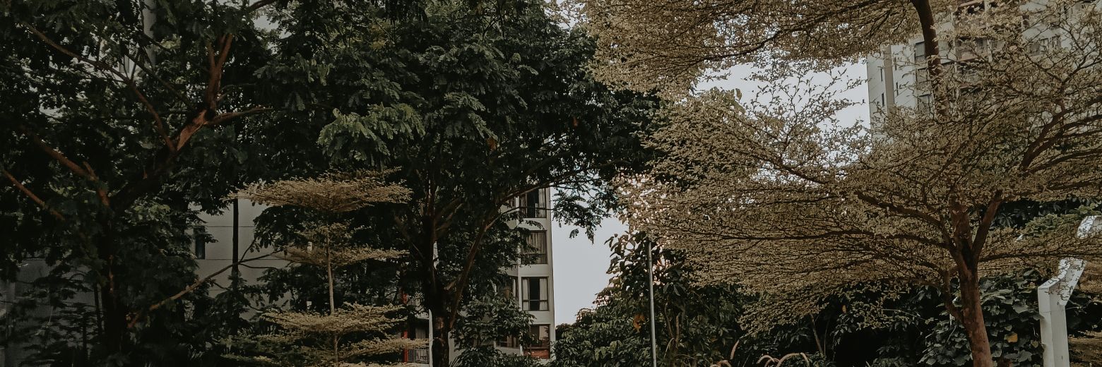 karfaani's profile banner image