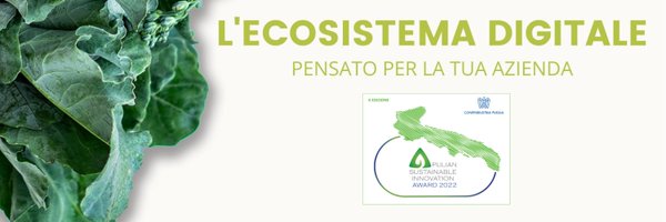 BluleafSys Profile Banner