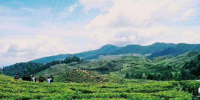 Rohmah_jun's profile banner image