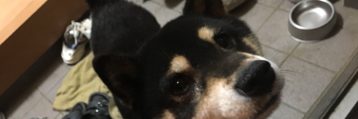 dai22ebibi5's profile banner image