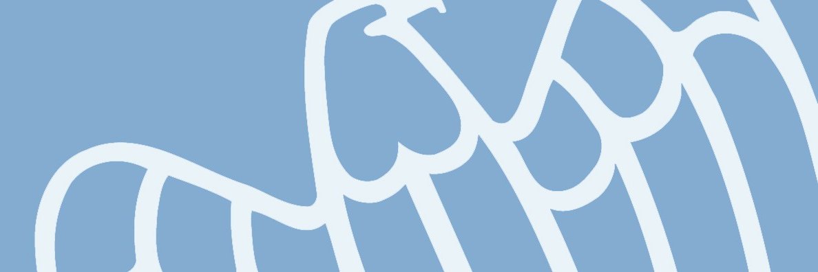 Conf Veneto SIAV banner