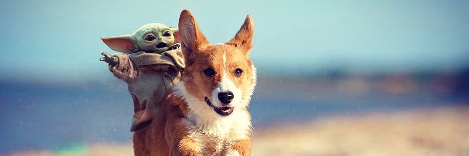 AMemoryXMisread's profile banner image