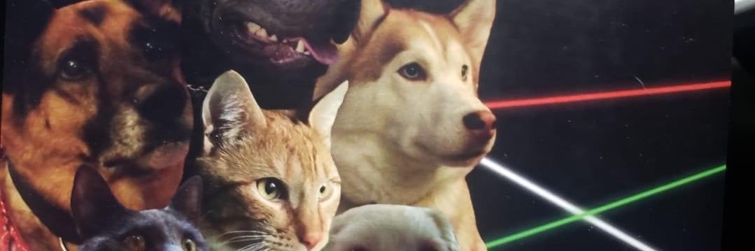 RachelSegal1's profile banner image