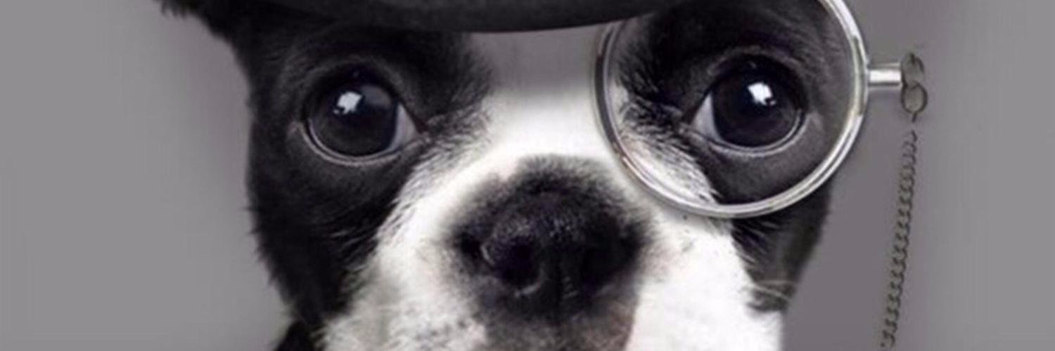komoricky's profile banner image