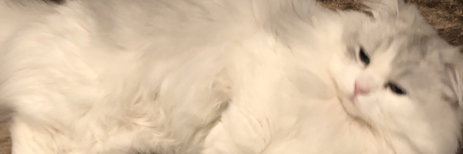 maximum_the_koh's profile banner image
