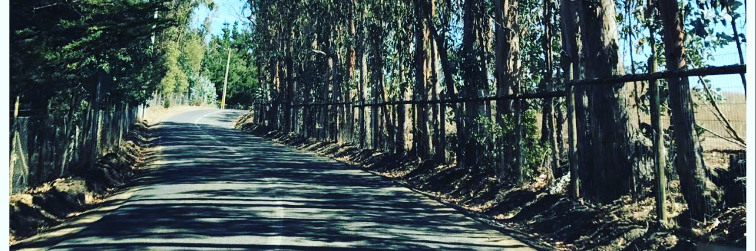 Macarena Rivas banner