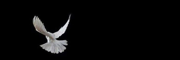 d99__d's profile banner image