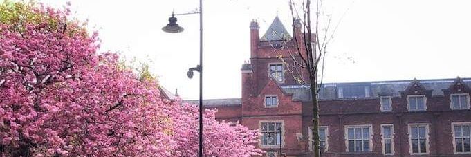 Mayyada Wazaify banner