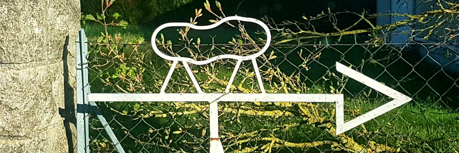 AngelusOfficiel's profile banner image