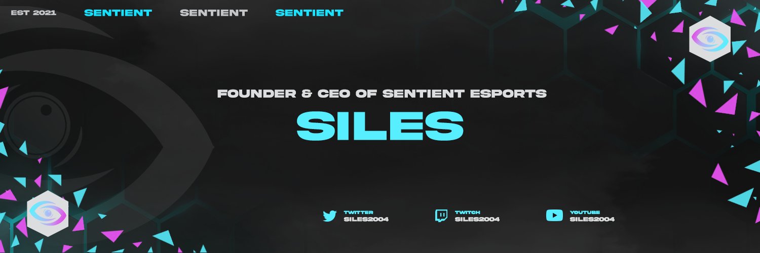 Sacha Siles Weichel banner