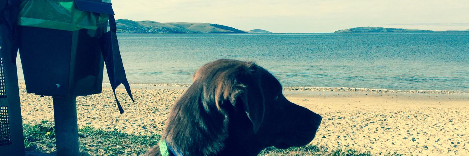 CamDay1's profile banner image