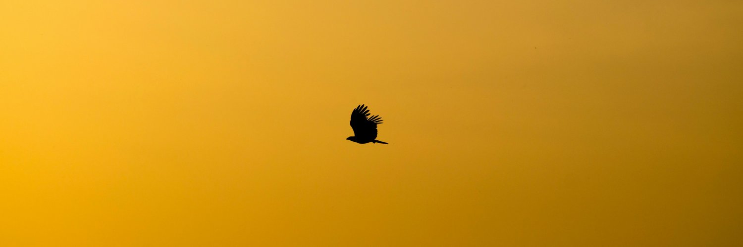 trafficspurt's profile banner image